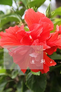 逾期2个月利息125 逾期2个月利息125