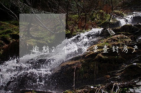 逾期2个月就要查封房产是真的吗