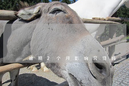 逾期2个月影响房贷吗 逾期2个月影响房贷吗