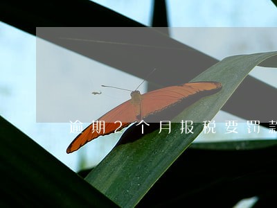 逾期2个月报税要罚款吗 逾期2个月报税要罚款吗