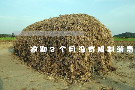 逾期2个月没有限制消费