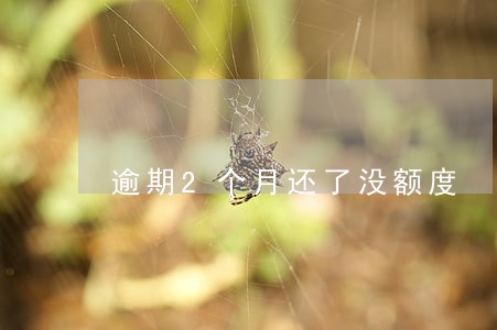 逾期2个月还了没额度