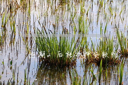 逾期2后能抵押贷款吗 逾期2后能抵押贷款吗