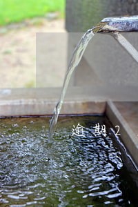 逾期2天什么时候消除 逾期2天什么时候消除