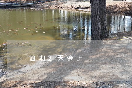 逾期2天会上 逾期2天会上
