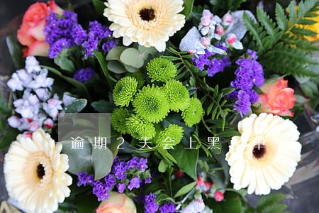 逾期2天会上黑名单 逾期2天会上黑名单