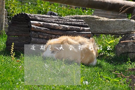 逾期2天会打电话么 逾期2天会打电话么