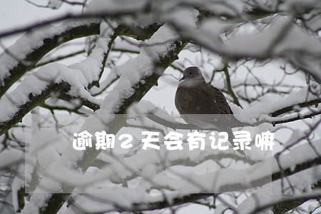 逾期2天会有记录嘛 逾期2天会有记录嘛
