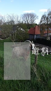 逾期2天会被处理吗 逾期2天会被处理吗