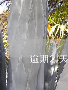 逾期2天多久才能恢复个人信用