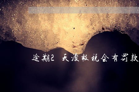 逾期2天没报税会有罚款吗