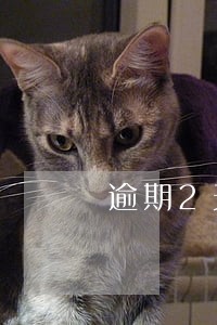 逾期2天滞纳金怎么算