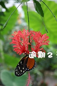 逾期2天的后果是什么 逾期2天的后果是什么
