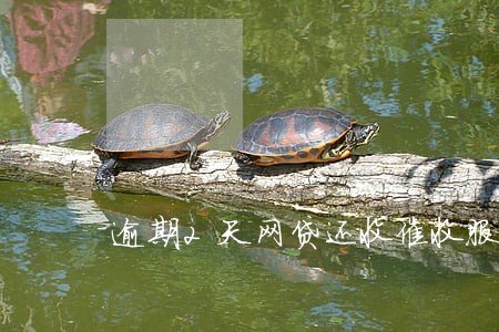 逾期2天网贷还收催收服务费 逾期2天网贷还收催收服务费