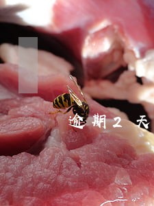 逾期2天货款有影响吗 逾期2天货款有影响吗