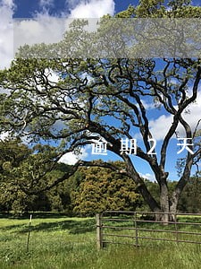 逾期2天还款了有影响嘛 逾期2天还款了有影响嘛
