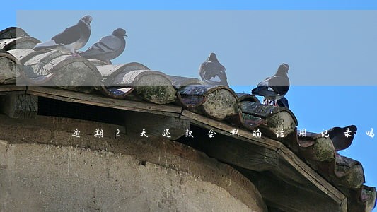 逾期2天还款会影响信用记录吗 逾期2天还款会影响信用记录吗