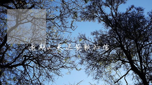 逾期2天还贷款征信 逾期2天还贷款征信