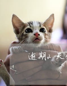 逾期2天领取免检标志会罚款吗 逾期2天领取免检标志会罚款吗