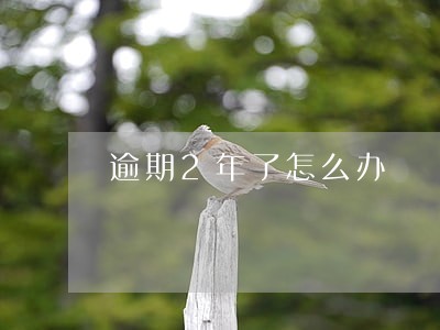 逾期2年了怎么办 逾期2年了怎么办