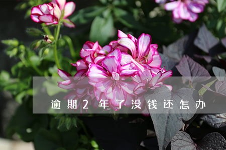 逾期2年了没钱还怎办 逾期2年了没钱还怎办