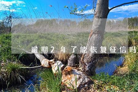 逾期2年了能恢复征信吗 逾期2年了能恢复征信吗