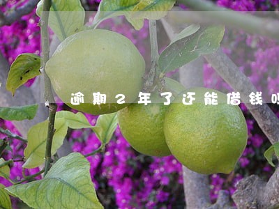 逾期2年了还能借钱吗 逾期2年了还能借钱吗