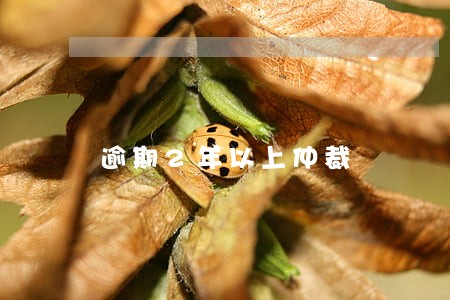 逾期2年以上仲裁 逾期2年以上仲裁