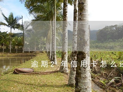 逾期2年信用卡怎么还 逾期2年信用卡怎么还