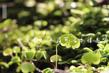 逾期2年后可以办理房贷吗