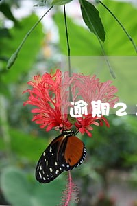 逾期2年多翻了一倍利率多少 逾期2年多翻了一倍利率多少