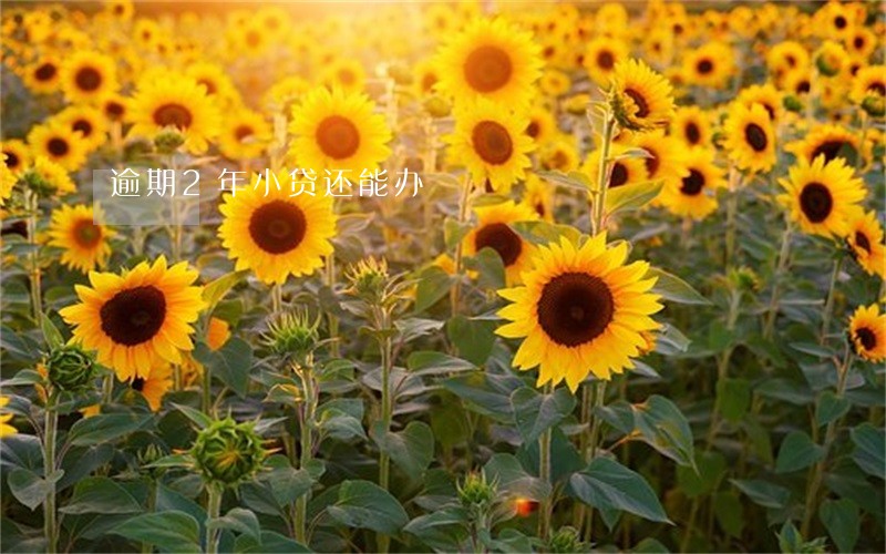 逾期2年小贷还能办 逾期2年小贷还能办