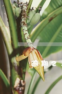 逾期2年征信恢复不了怎么办 逾期2年征信恢复不了怎么办