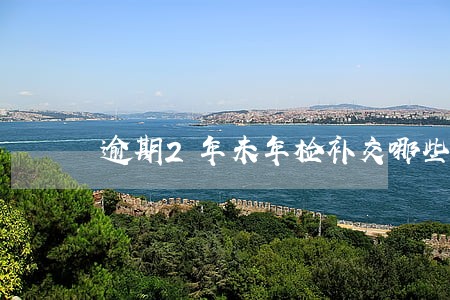 逾期2年未年检补交哪些费用