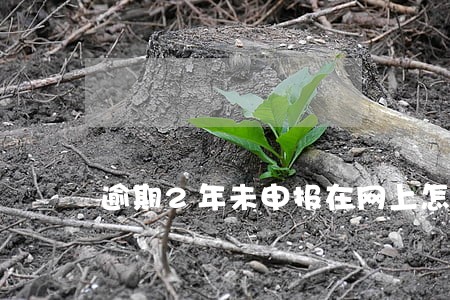 逾期2年未申报在网上怎么处理