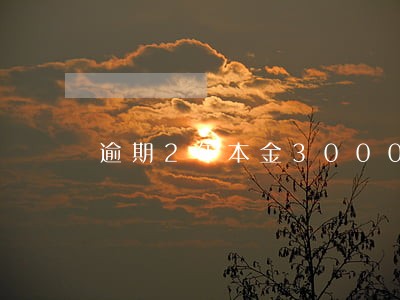 逾期2年本金30000