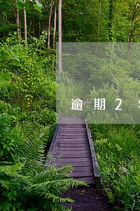 逾期2年没还利息怎么算