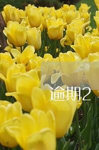 逾期2年网贷还有什么可以下的 逾期2年网贷还有什么可以下的