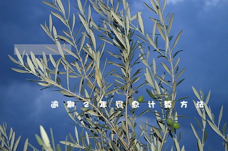 逾期2年罚息计算方法 逾期2年罚息计算方法