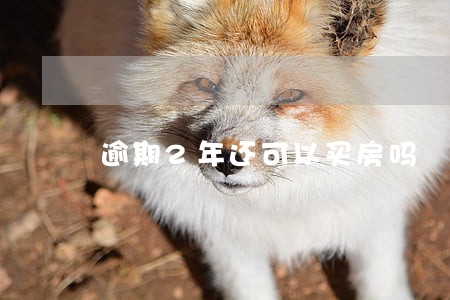 逾期2年还可以买房吗 逾期2年还可以买房吗