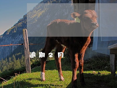 逾期2月 逾期2月