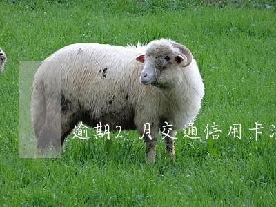 逾期2月交通信用卡没有分期还 逾期2月交通信用卡没有分期还