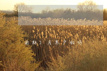 逾期2月黑户啦吗 逾期2月黑户啦吗