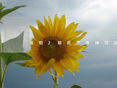 逾期2期房产抵押贷款 逾期2期房产抵押贷款