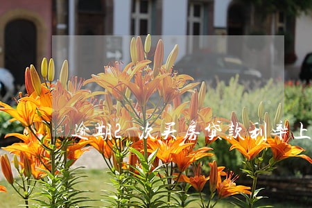 逾期2次买房贷款利率上浮 逾期2次买房贷款利率上浮