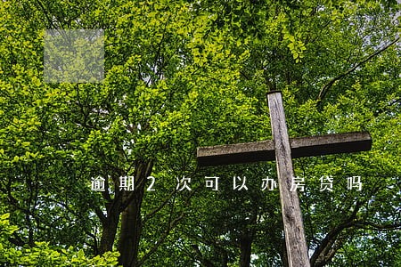 逾期2次可以办房贷吗 逾期2次可以办房贷吗
