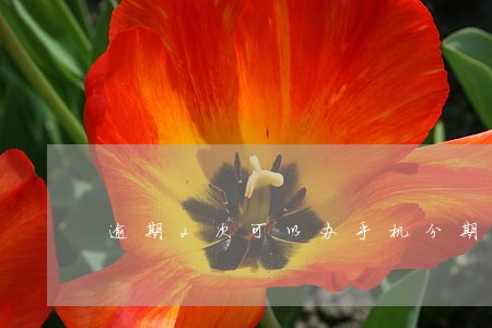 逾期2次可以办手机分期
