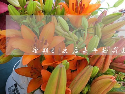 逾期2次后去年检罚款吗 逾期2次后去年检罚款吗
