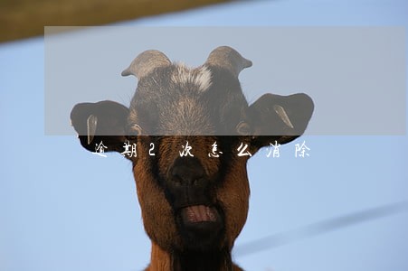 逾期2次怎么消除 逾期2次怎么消除