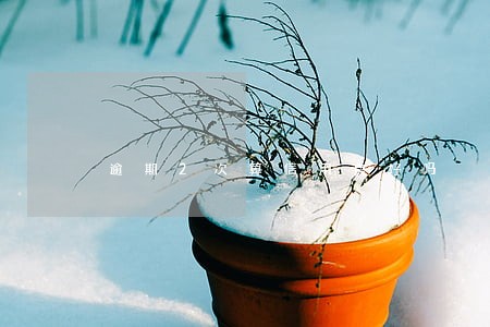 逾期2次算信用良好吗 逾期2次算信用良好吗